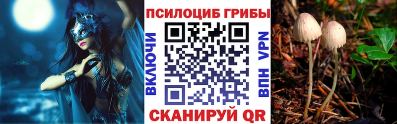 Псилоцибиновые грибы GOLDEN TEACHER  дарк нет формула  Горячий Ключ 